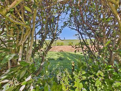 Picture 38